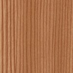 mountain-pine